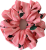 IMG_5644.png