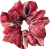 IMG_7060.png