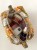 IMG_1844.jpeg