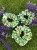 IMG_3419.jpeg
