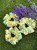 IMG_3300.jpeg