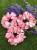 IMG_3311.jpeg