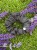 IMG_3418.jpeg