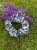 IMG_3383.jpeg