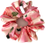 IMG_3885.png