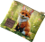 IMG_3860.png